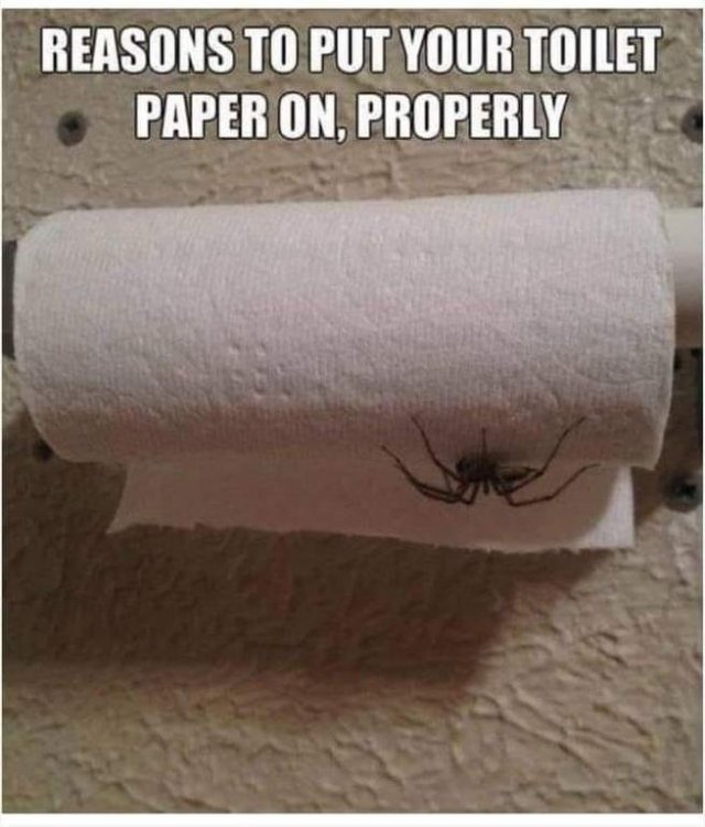 meme toilet paper.jpg