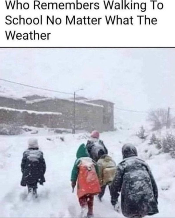 meme walk to school.jpg