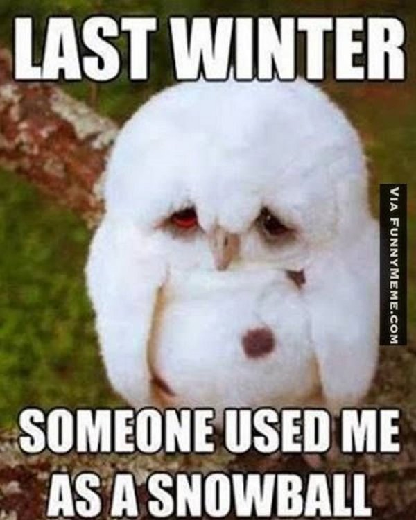 55-Funny-Winter-Memes-04.jpg