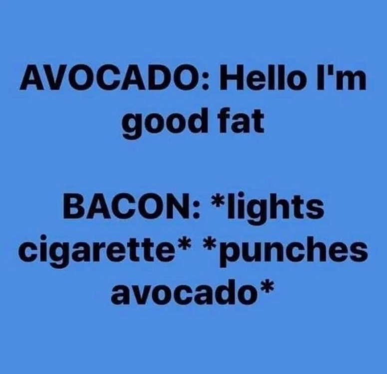 meme avocado.jpg