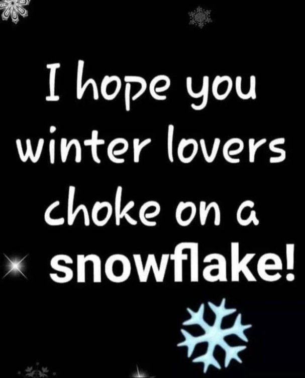 meme snow flake.jpg