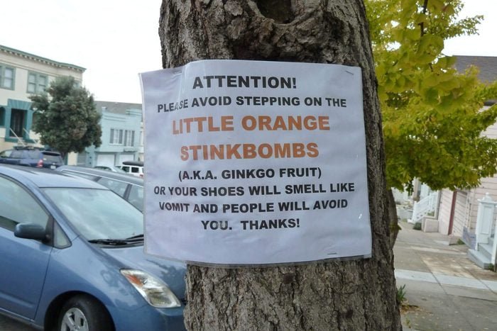 OrangeStinkBombs.jpg.091aef7fb436cda5914783e7921cc435.jpg