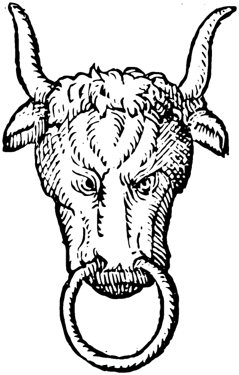 bulls-head-cabossed-4-mono.thumb.png.2ee6b5941e9225ce395c043ff53c3de1.png