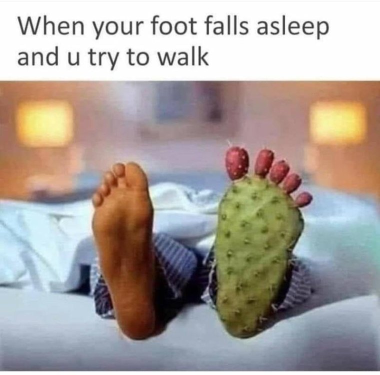 humor foot asleep.jpg