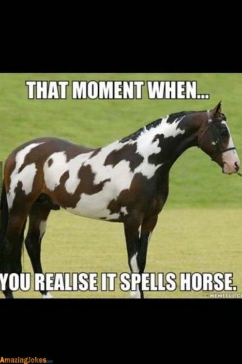 It spells Horse.jpeg