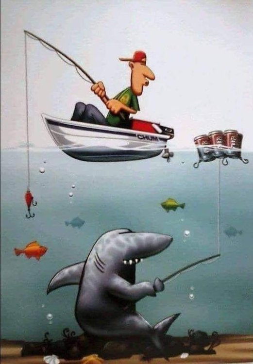 cartoon shark fishing.jpg
