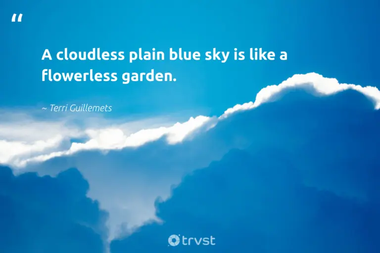 cloud-quotes-terri-guillemets-a-cloudless-plain-blue-sky-is-like-a-flowerless-ga-8812-768x512.webp.cb7c1747f9e451aa1ed28d42c7010232.webp
