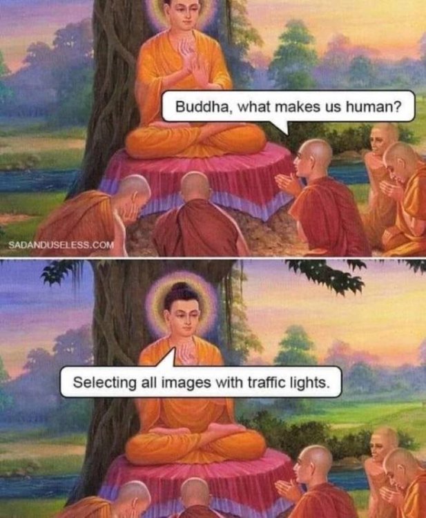meme Buddha.jpg