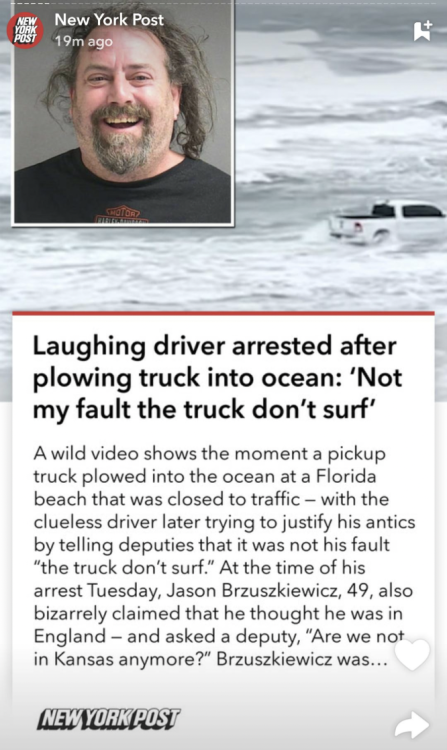 humor truck-dont-surf.png