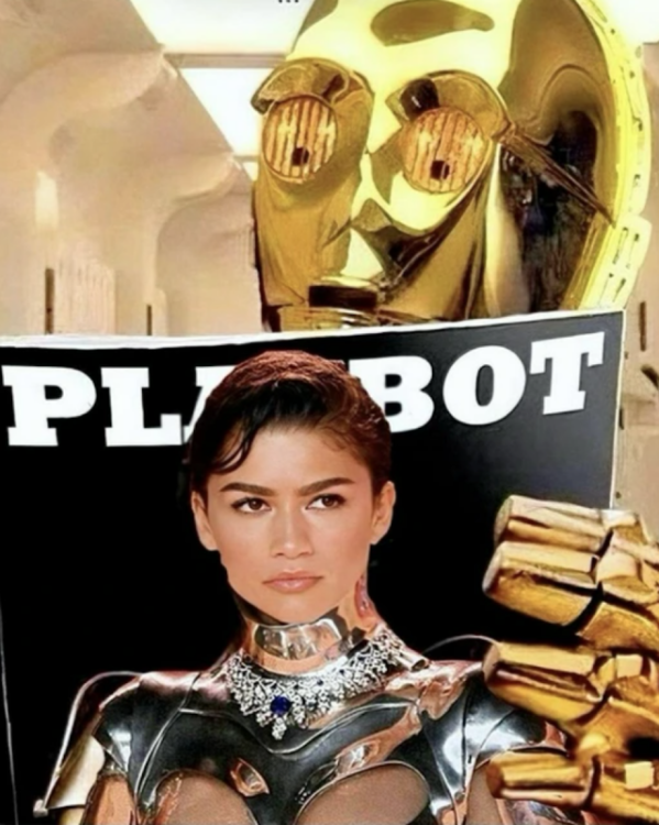 photo 3po.png