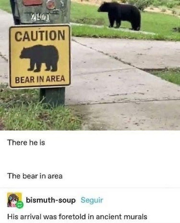 photo bear.jpg