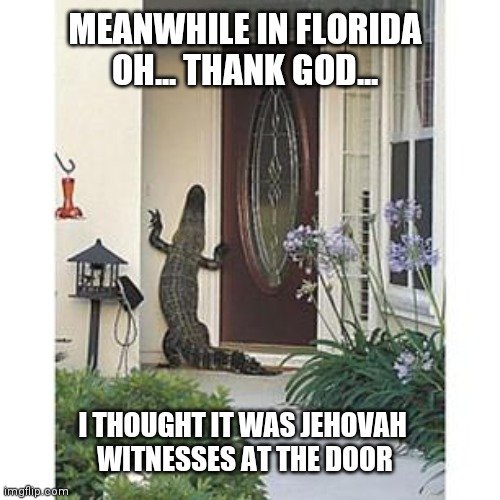 image.jpeg.133410f392f093921652e0c59c024b14.jpeg