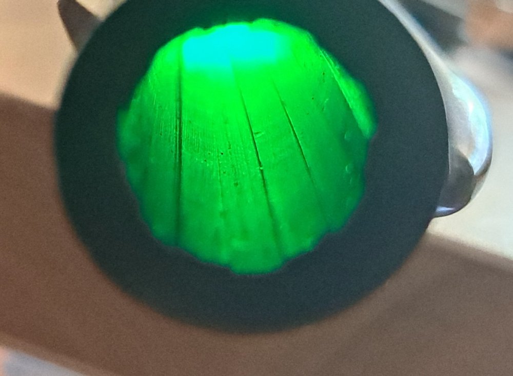 20240719_153104.jpg