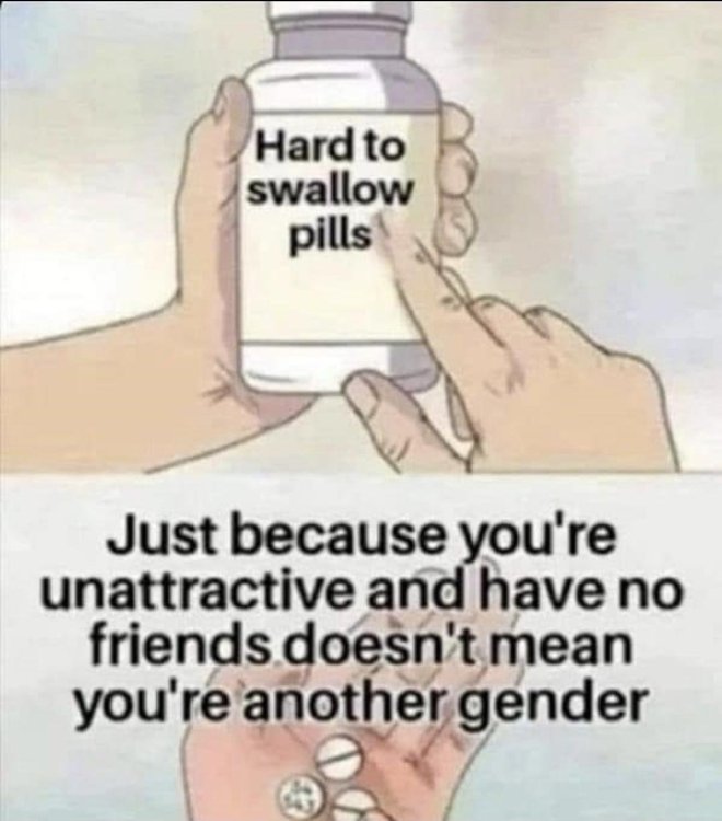 lw3KvHYHWa1D.jpeg
