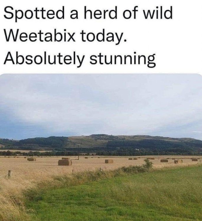 weetabix.jpg