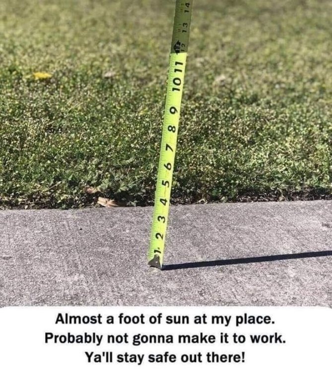 FootOfSunshine.thumb.jpg.89331916b4a5b3988ee1638a3547853d.jpg