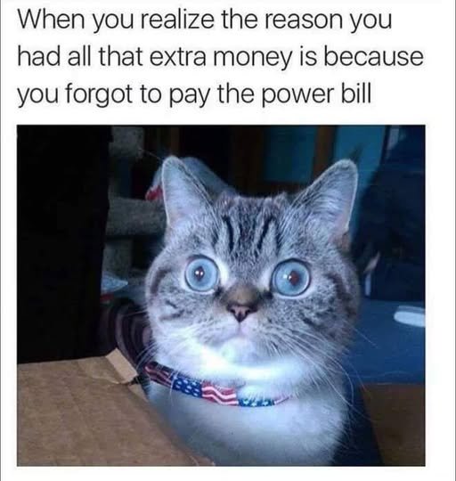 image.jpeg.39782a7612c32ca701b5ac7ffd6fef40.jpeg