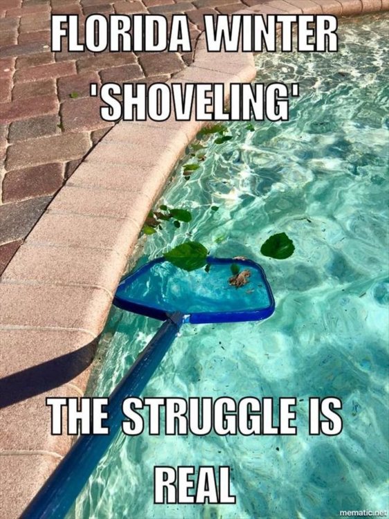 meme.weather.florida winter shoveling.jpg