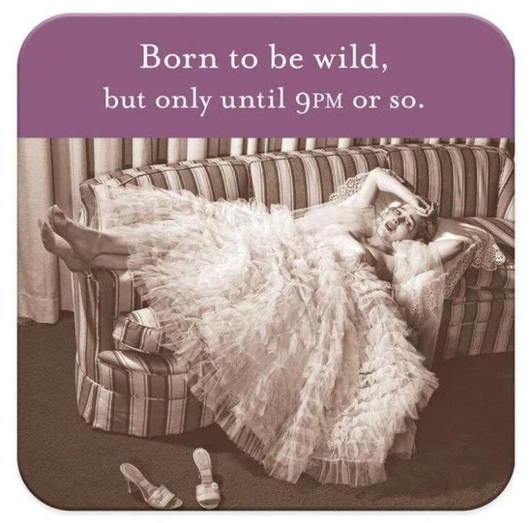 Born to be wild.jpg