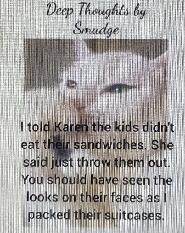 IMG_3682.jpeg