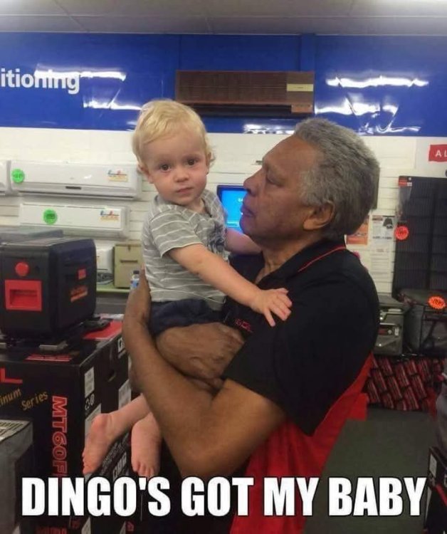 facebook_1739340564975_7295323089040928887.thumb.jpg.5ef84b23895397dade06ecb94c957188.jpg