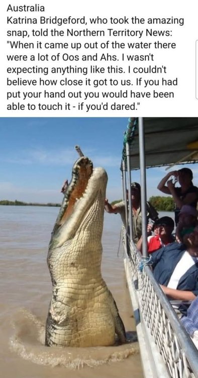 480819904_670168415538923_4535918721201994610_n.thumb.jpg.2f06f1e83120870e7e7c93da26fa4897.jpg