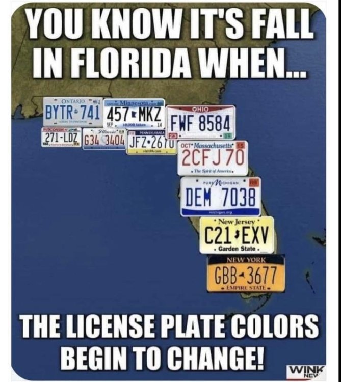 Florida license plates.jpg