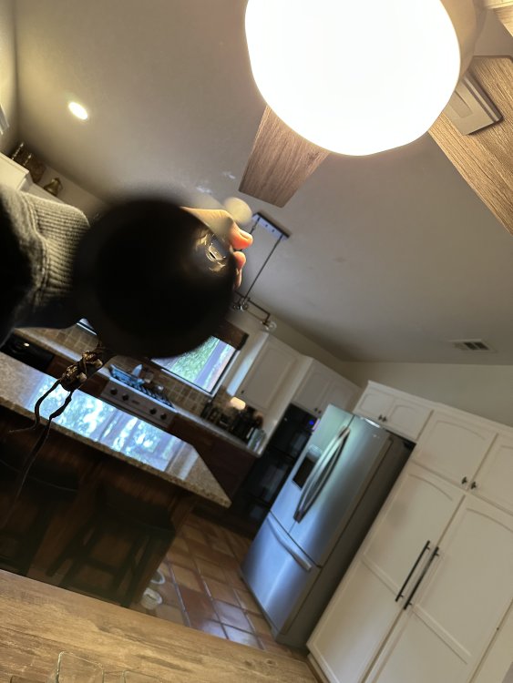 IMG_7060.jpeg