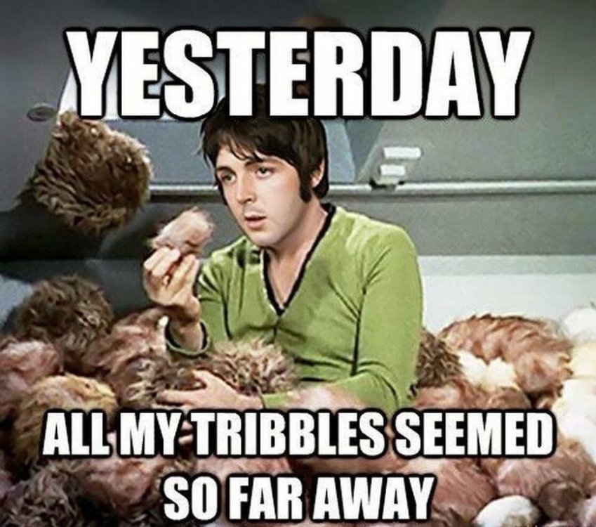 Star Trek yesterday.jpg