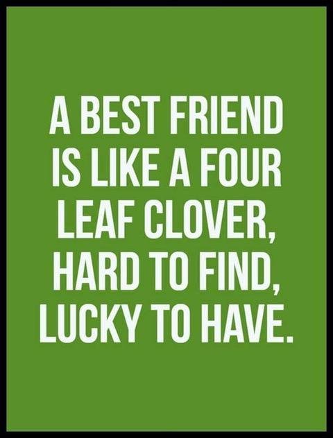 bestfriend.jpg.0b6e0d48bdbc23251f18f4816475140f.jpg