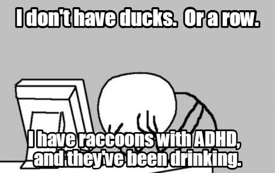 ducksinarow.jpg.504f431f9bafdbcfc779306402ad6ebc.jpg