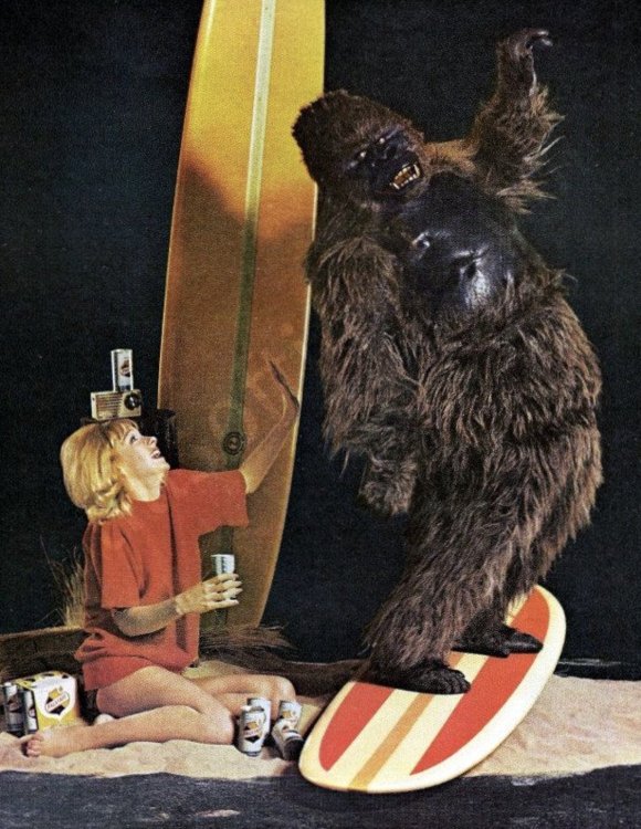 gorilla-surfing.thumb.jpg.678de10f79ce53ab3e9ab1e09224ccc1.jpg