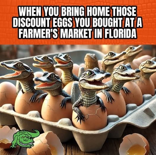 image.jpeg.8255a6286adfa763aa5e685b2be6bb30.jpeg