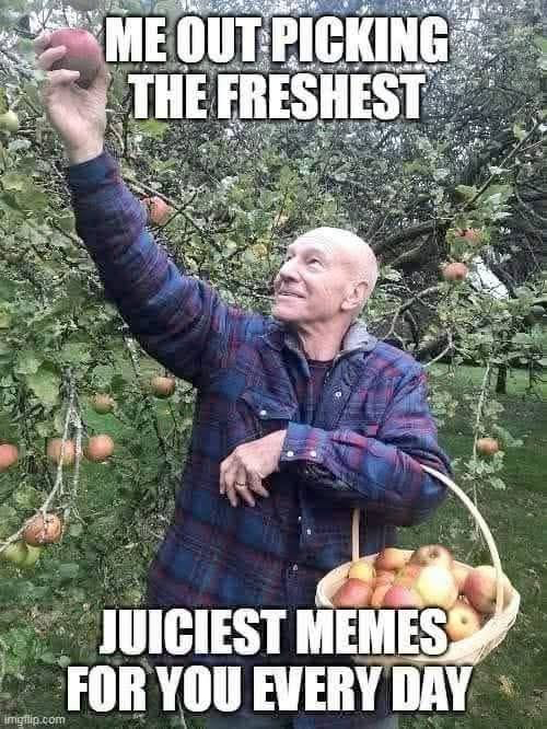 image.png.667f9c96e684576a13dad41d2ecc9e39.png