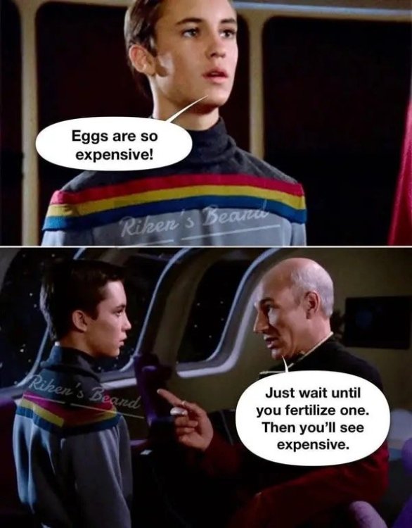 price of eggs.jpeg