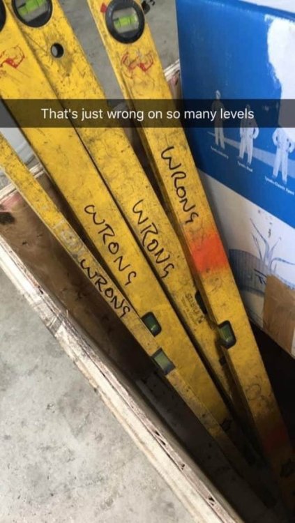 wrong.jpg
