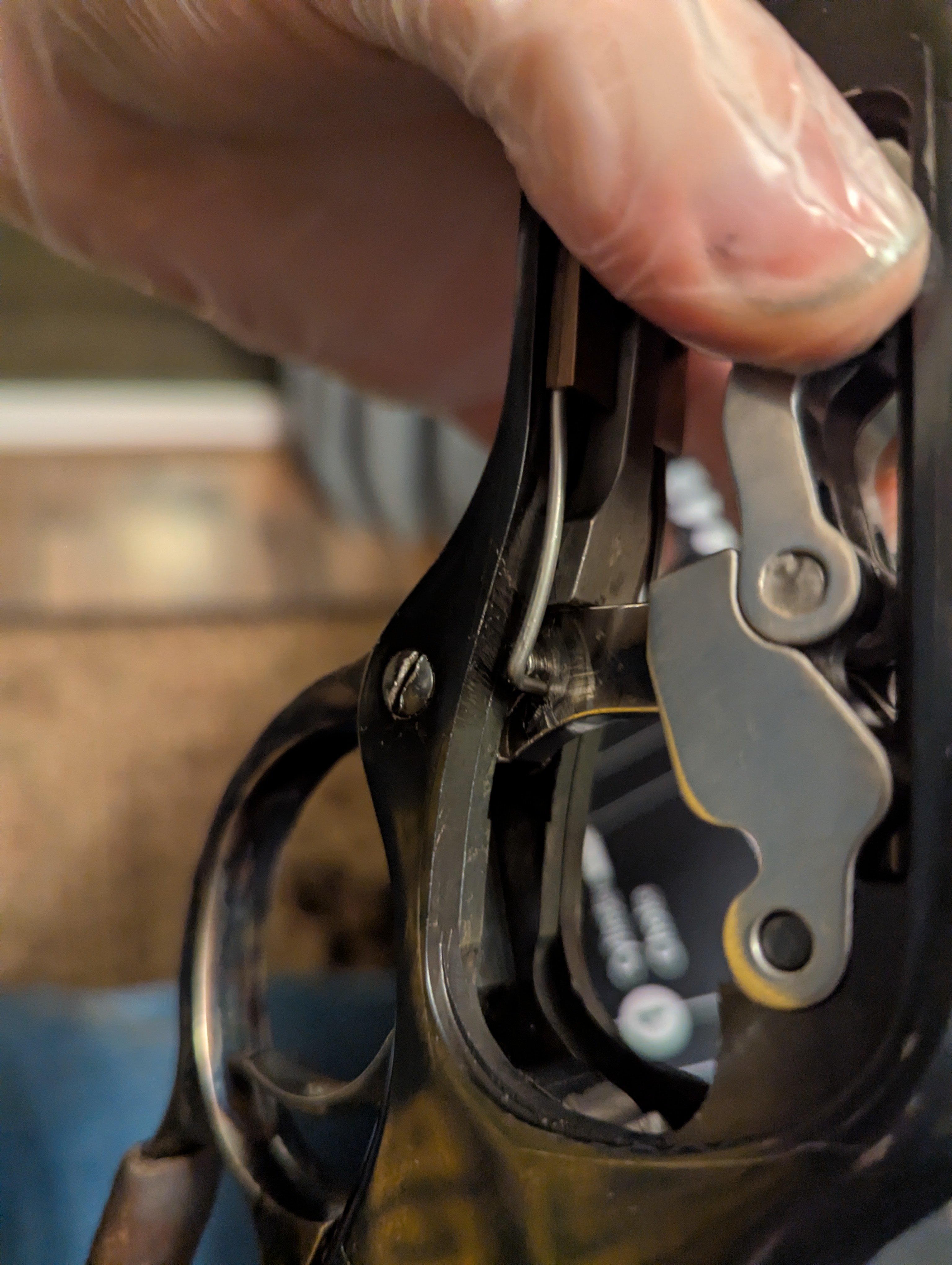Lifter Spring Broken Screw - SASS Wire - SASS Wire Forum
