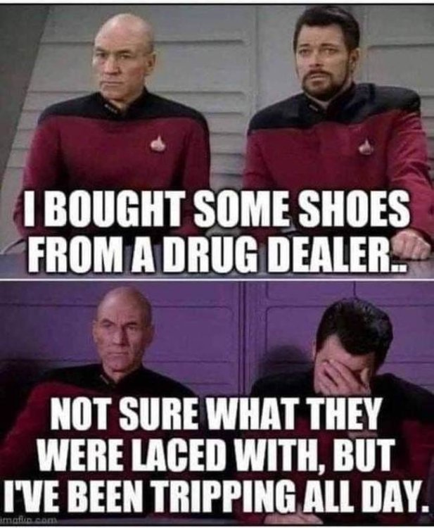 Star Trek tripping.jpg