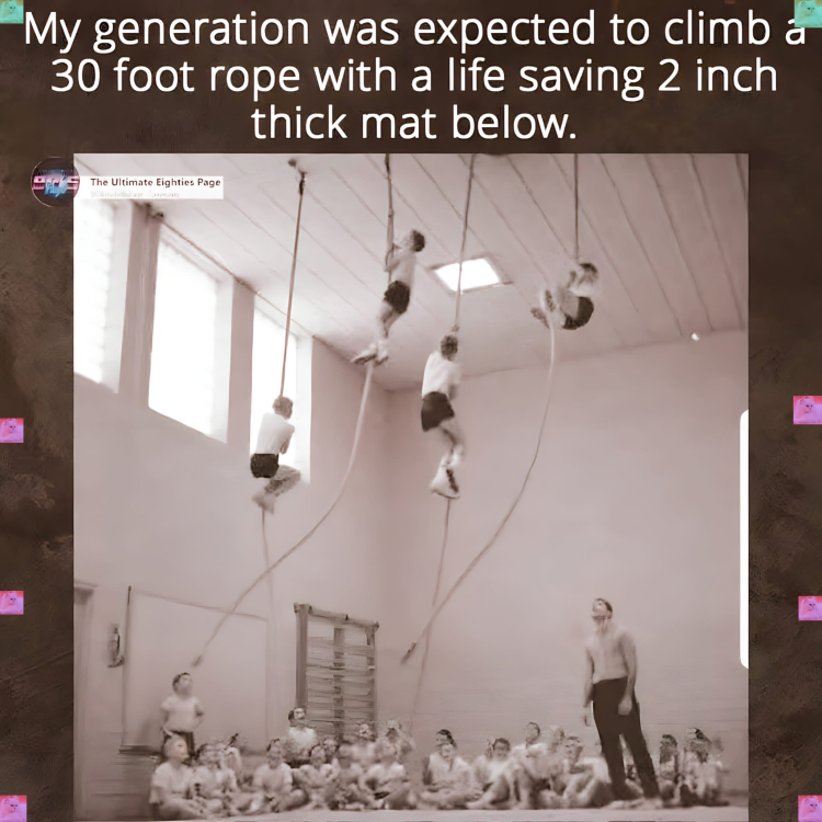 image.thumb.png.3d86f66a467e0afdc386e1430757b33e.png