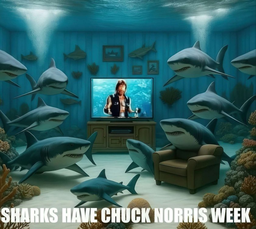 637 Chuck week.jpg