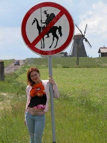DonQuixote.jpg.1f74bbcb258738df9251fb0f833a2d98.jpg