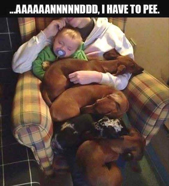 FB_IMG_1747342465193.jpg.3a17b2efb3e5be92f9da4fbd44152944.jpg