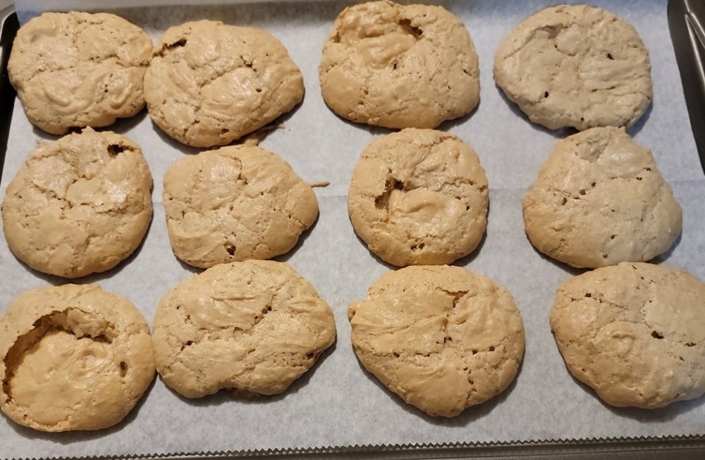 Peanut Butter Styrofoams.jpg