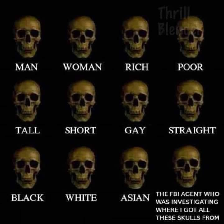 Skulls.png.ecd94e7a166f36e3ad6f66926b438893.png