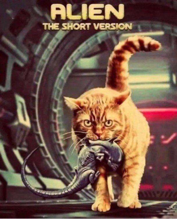 alienshortversion.thumb.jpeg.20334b566b4b26a8754c050dfdf21e7e.jpeg