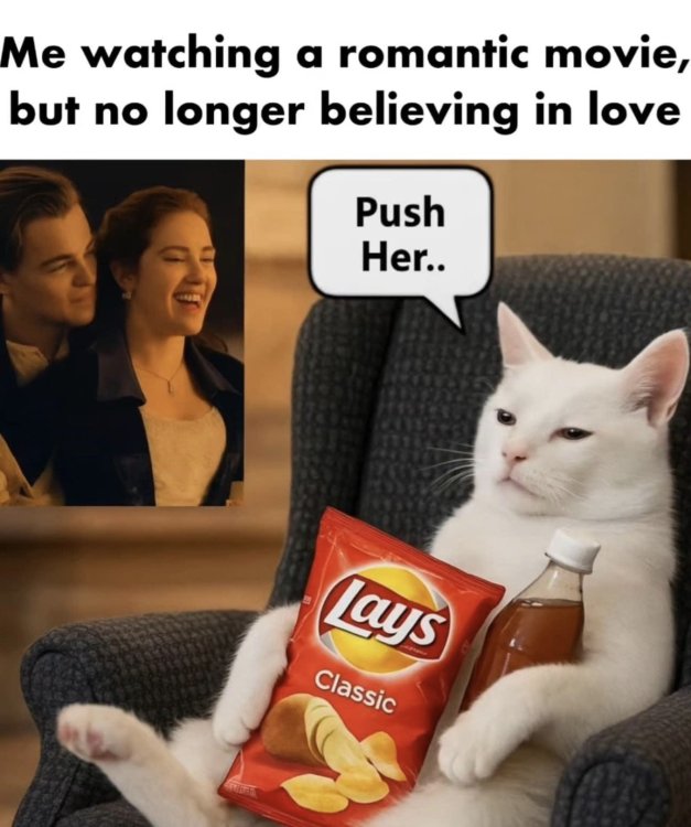 chick flick.jpeg