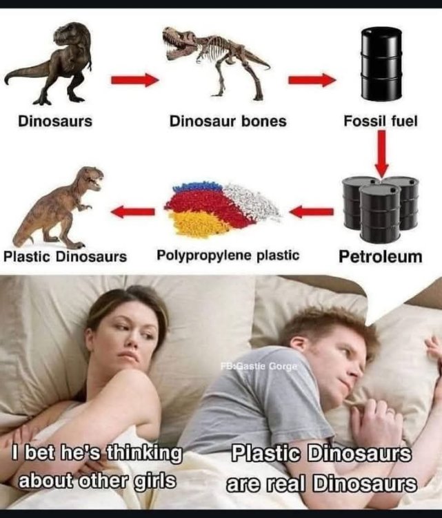 dinosaurs.jpeg
