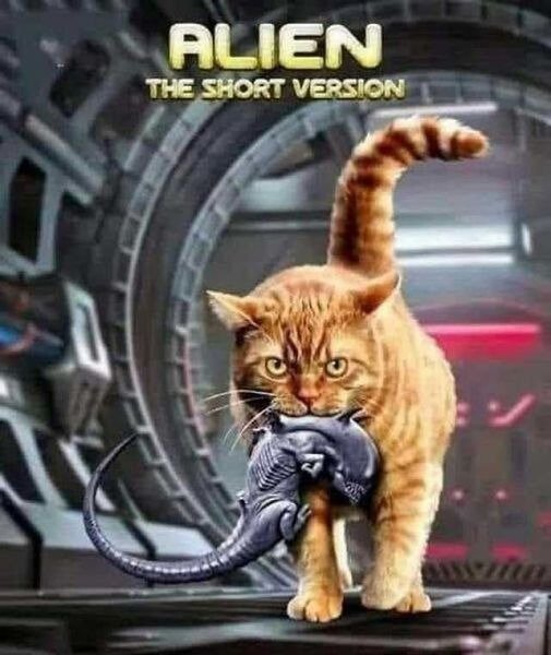 image.jpeg.0299bf6c765de0a247d87ebfb3a2e623.jpeg