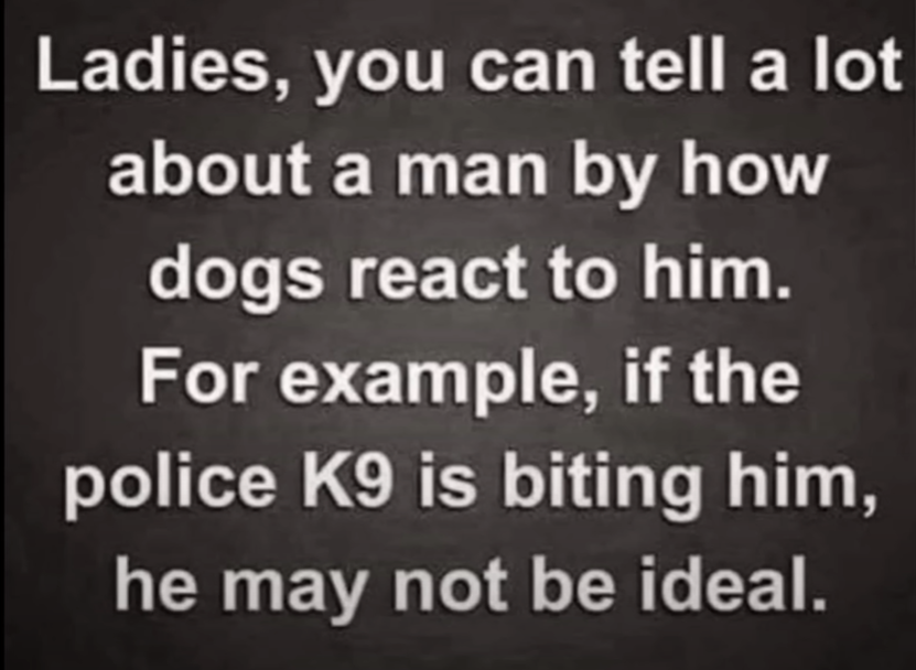 image.png.bec2e67a1988528de1b8d2d91892d217.png