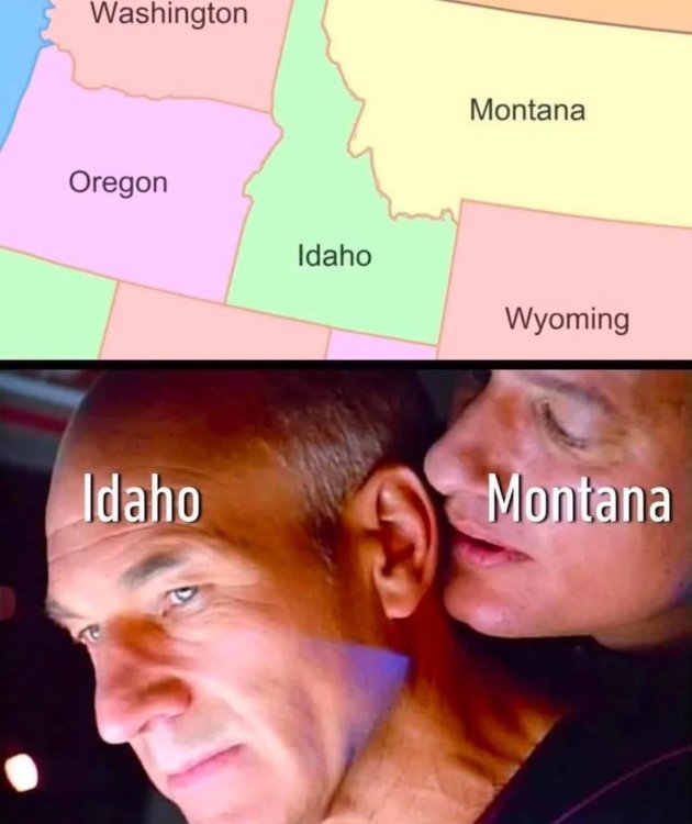 image.thumb.jpeg.c2d42982c7751bb53d3a6f0439c6125f.jpeg